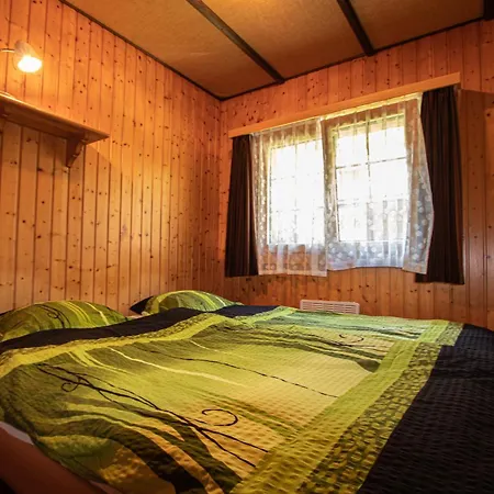 Feriehus Residenz Edelweiss Saas321 - B47720