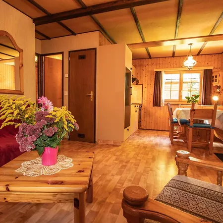 Residenz Edelweiss Saas321 - B47720